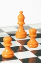 50029-7.webp
