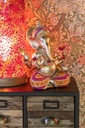 50444-A.webp