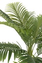 54366-2.webp