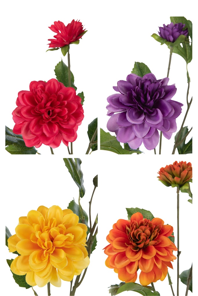 43998-2.webp