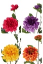 43998-2.webp