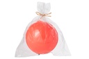 50365-2.webp
