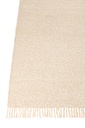 49513-2.webp