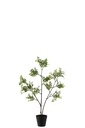 2567.webp