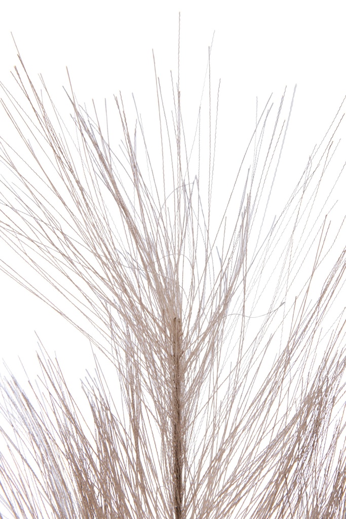 36969-2.webp