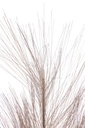 36969-2.webp