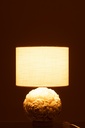 53861-3.webp