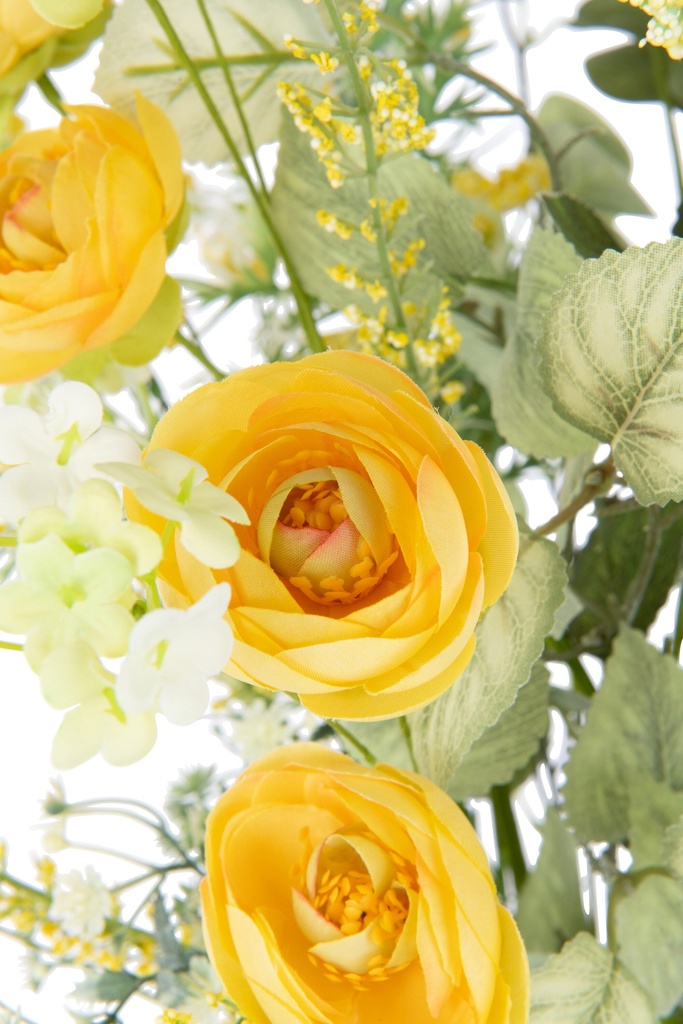 43891-2.webp