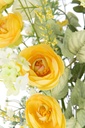43891-2.webp
