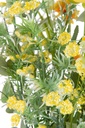 43891-4.webp