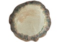 53241-2.webp