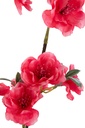 44009-2.webp