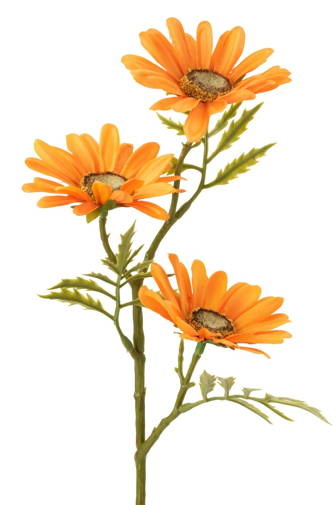 12464-2.webp