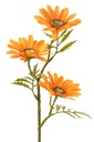 12464-2.webp