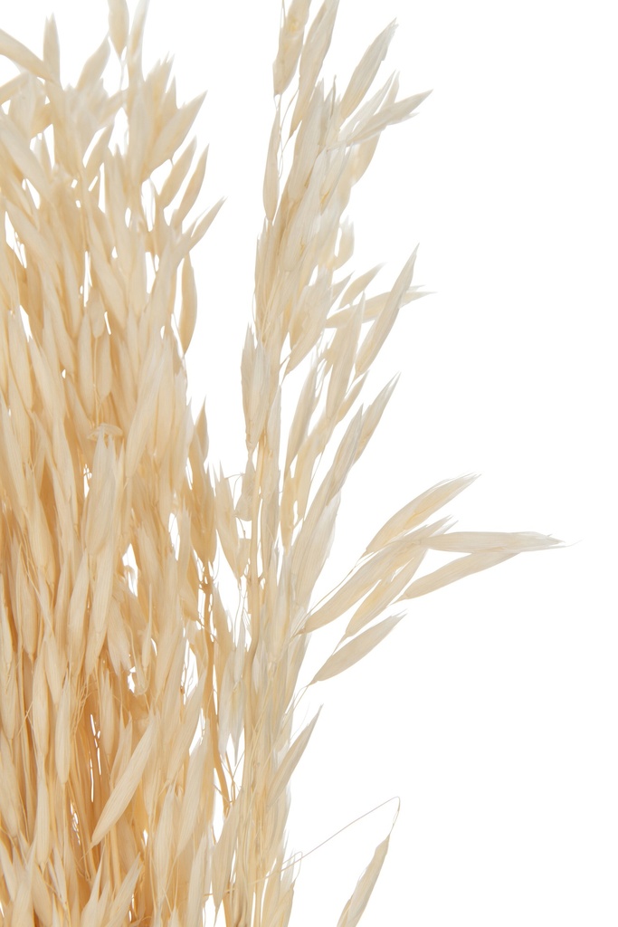 22461-2.webp