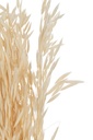 22461-2.webp