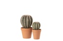 4115-2.webp