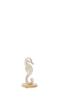 40196.webp