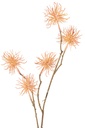 12118-2.webp