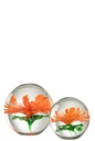 53634-2.webp