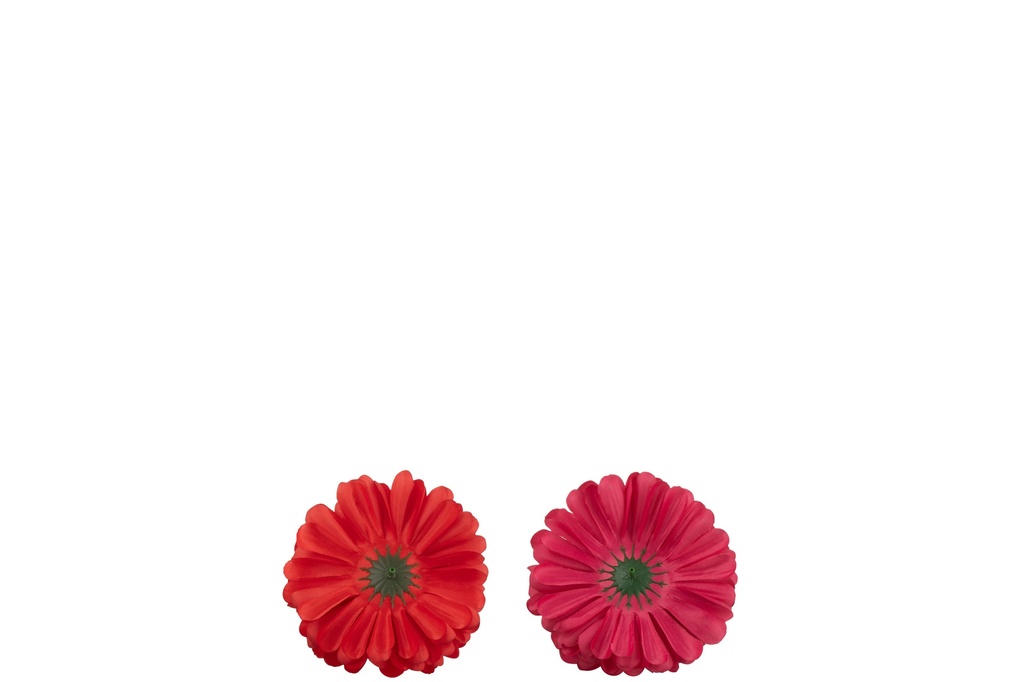 54354-2.webp