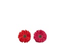 54354-2.webp