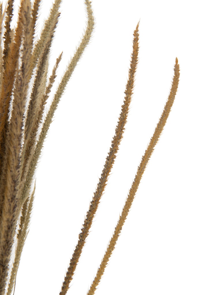 22467-2.webp