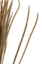 22467-2.webp