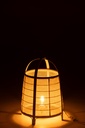 46381-3.webp
