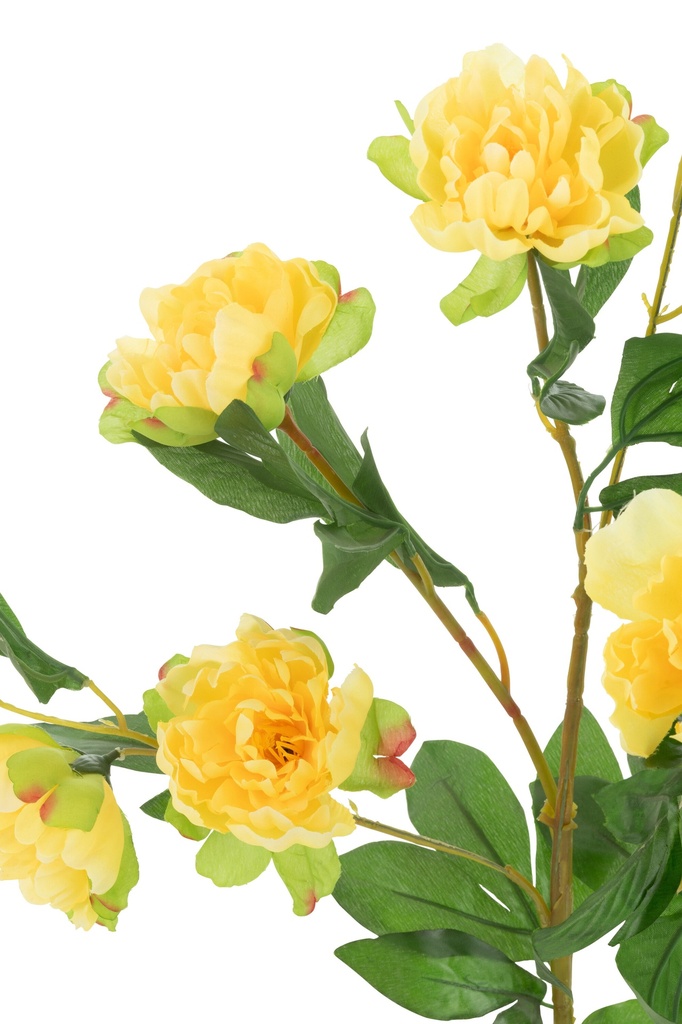 54358-2.webp