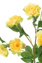 54358-2.webp