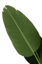 22032-2.webp