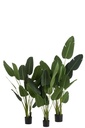 22032-4.webp