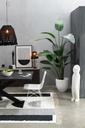22032-A.webp