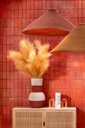 22469-C.webp