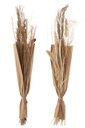 Assortiment naturel de feuilles sauvages