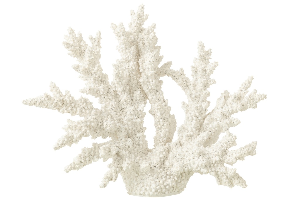 Corail Polyrésine Blanc Extra L