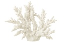 Coral Polyresin White Extra L