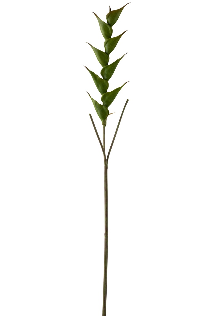 Branche d'Héliconia Plastique Vert