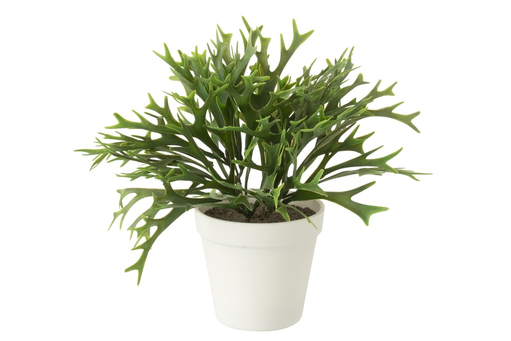 Platycerium Bifurcatum In Pot Artificial