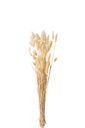 Bundle Feather Bunnytail Dried Beige