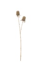 Marigold Long Spray Artificial Brown