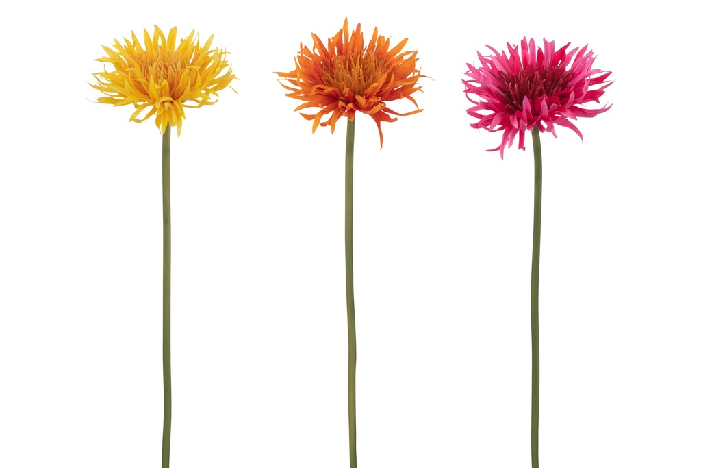 Mélange artificiel de marguerites gerbera sauvages