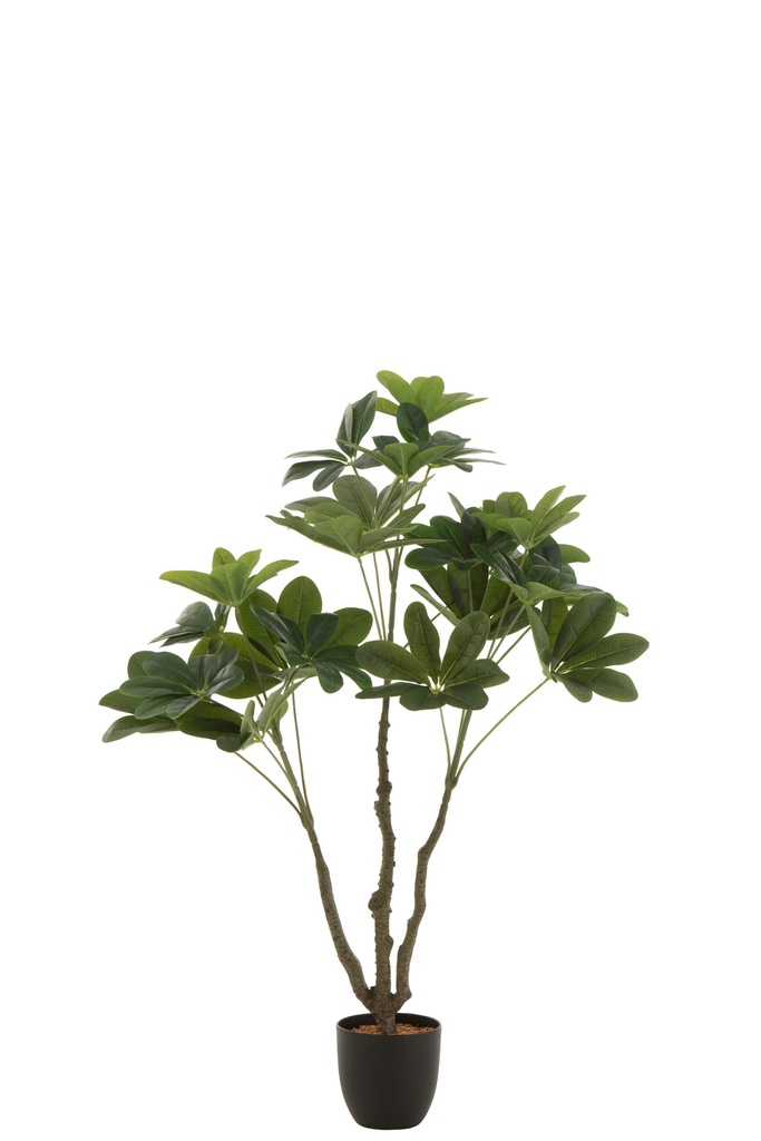 [22023] Money Tree Pot Plastic Green