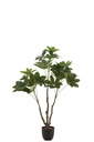 Pot d'arbre à argent en plastique vert