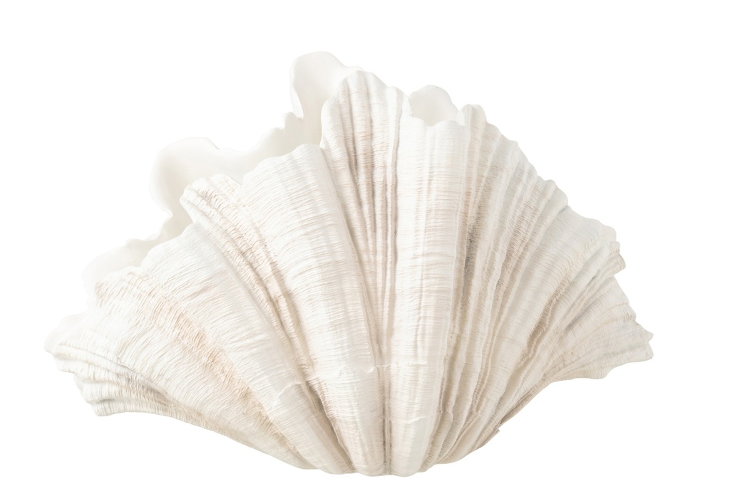 [40543] Deco Vase Clam Shell Polyresin