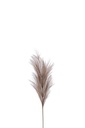 Branche Plumeau Plastique Marron Foncé