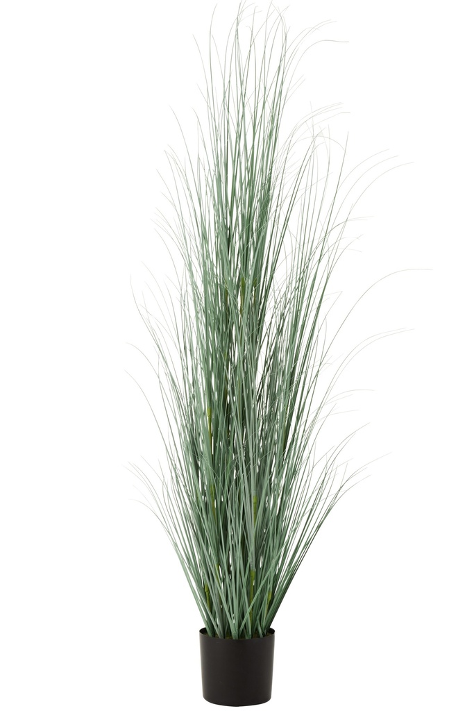 Grasses In Pot Plastic Blue/Green