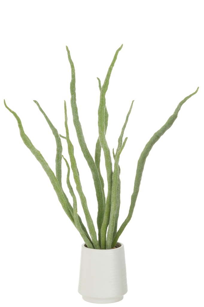 Plante succulente artificielle en pot