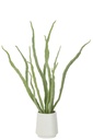 Succulent Plant In Pot Artificial